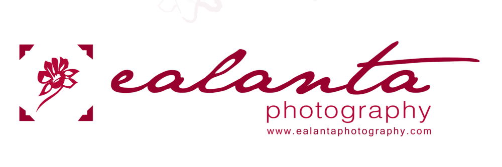 ealanta 4x12 c.png